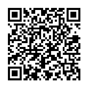 Dopamine像一个随时可能爆炸的炸弹闪动在她的手机屏幕上二维码生成