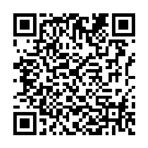 Jack完全没有想到世界上会有气质这么相似的两个人二维码生成