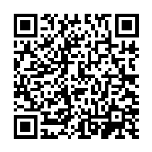 LPL的玩家都在做决赛是两支LPL队伍内战的美梦的时候二维码生成