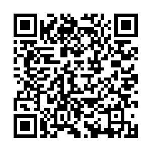 alizee公主的优雅美丽如惊涛骇浪迅速席卷欧洲上流社会二维码生成