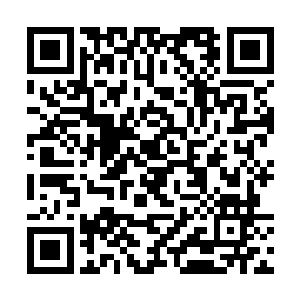 app商城中的几乎所有应用都能在这款系统上完美运行二维码生成