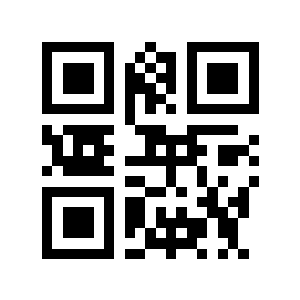 bin51二维码生成