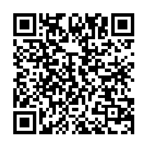 c级或以下的机甲和不能使用精神导蛋这两点你都做到了二维码生成