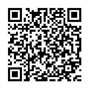 care这能不能成为中国流浪儿童保护方面最后的一次催化剂事件二维码生成