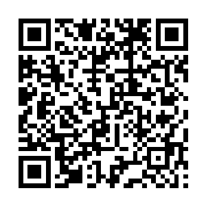 d级的吸血和c级的疗伤都是很实用得到辅助技能呢二维码生成
