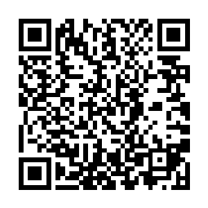 edc的许多战术和打法都是围绕着厂长而设计和进行的二维码生成