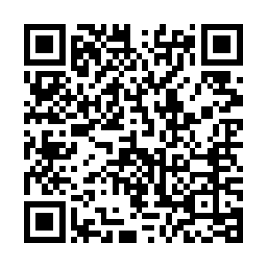 fǎngfo只要他们愿意就能够将中元星系所有的家族灭掉二维码生成