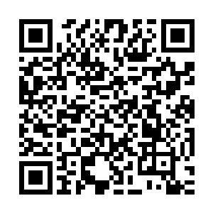 faker之前在上路那一波美如画的操作彻底推翻了陈诚的整个认知二维码生成