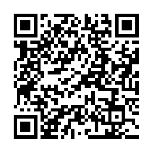 ic这支春季赛的亚军便直接成为了夏季赛垫底的队伍二维码生成