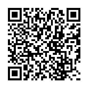 is军能以数百人击溃过万的政府军靠的就是疯狂气势二维码生成