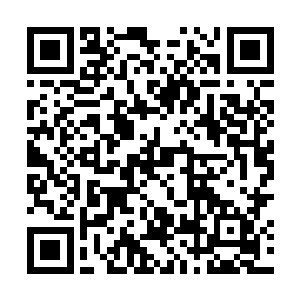 lcd众人还在讨论常规赛的那场打野猪女+杰斯adc的比赛二维码生成