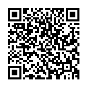 lcd战队就要先给现场上千名观众上演一出真刀实枪的肉搏画面了二维码生成