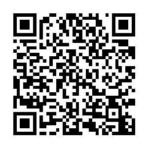 lulu玩味地看了一眼这个进俱乐部才两个月多一点的新人二维码生成