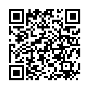 mki－445是在十多年前坠毁的一架飞机二维码生成