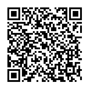 msi季中邀请赛fnc回国后疯狂的连胜跟这个中单有着密不可分的关系二维码生成