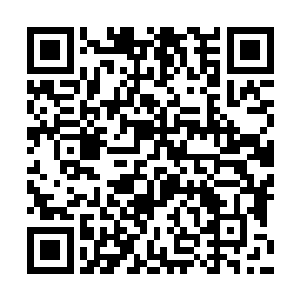 nobu餐厅提供世界首位获米其林星级评选的日籍厨师二维码生成