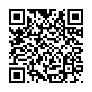 o2小队在奋力阻击着黑珍珠贝蒂的人二维码生成