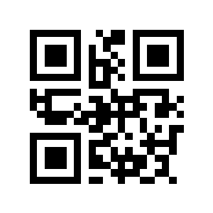 randi二维码生成