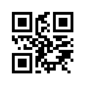 riesenrad二维码生成