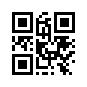 rmxsw点二维码生成