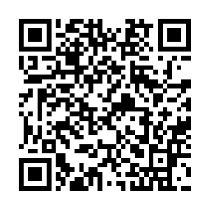 shandong卫视那边的副台长主动跑过来拜访自己老两口二维码生成