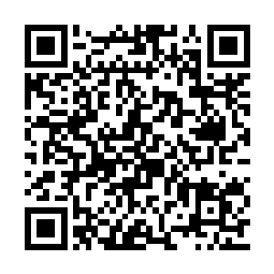 skt在下半野区布下的两个真眼都被陈诚一扫而空二维码生成