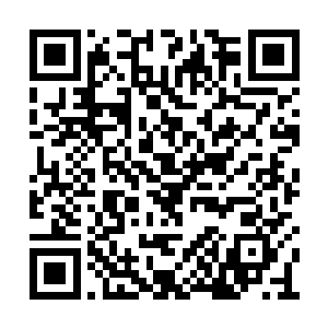 skt的ad选手bang这一局用的也正是这一款醒狮皮肤二维码生成