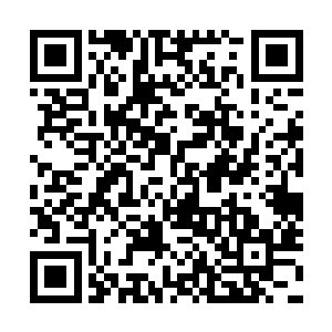 snake这支冠军战队可以说是他一路看着成长起来的二维码生成