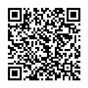 snake队员们都感觉那根捆绑在自己身上的无形绳索消失了二维码生成