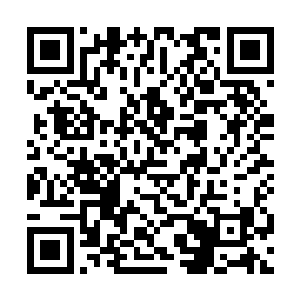 the_右眼前的镜片上立刻刷出了一坨错误信息提示二维码生成