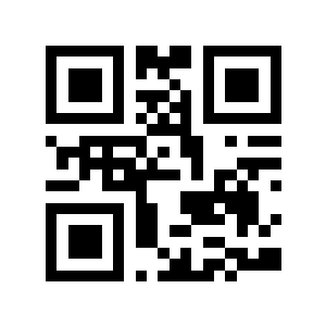 thenewyorker二维码生成