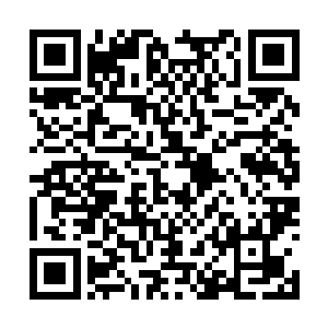 txt全集下载所以她必须及早给自己争取有利的优势二维码生成