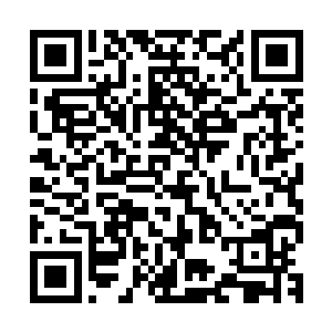 txt小说下载秦钟拿出的这布帛之上笼罩着一层淡淡的金黄色光辉二维码生成