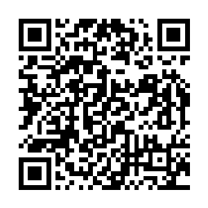 txt小说免费下载这是外界对于炎黄觉醒的评价和恐惧二维码生成