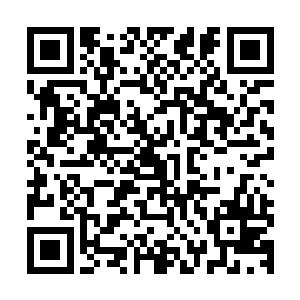 yt战队的教练与经理竟然也跑出来准备跟陈易清几人出来吃火锅二维码生成