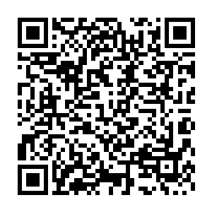 ~→咦~~~原来你竟然连自己觉醒都没意识~~是该说你神经粗的没意识二维码生成