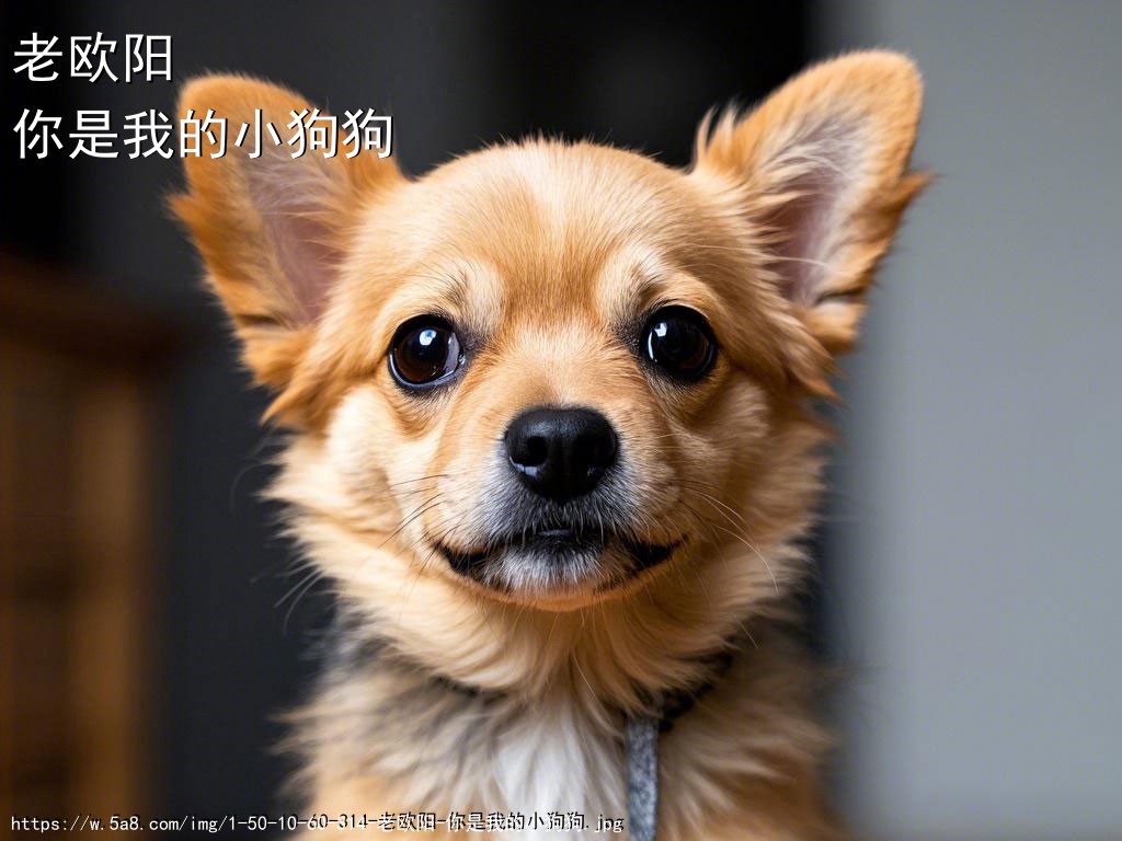 老欧阳你是我的小狗狗搞笑图片