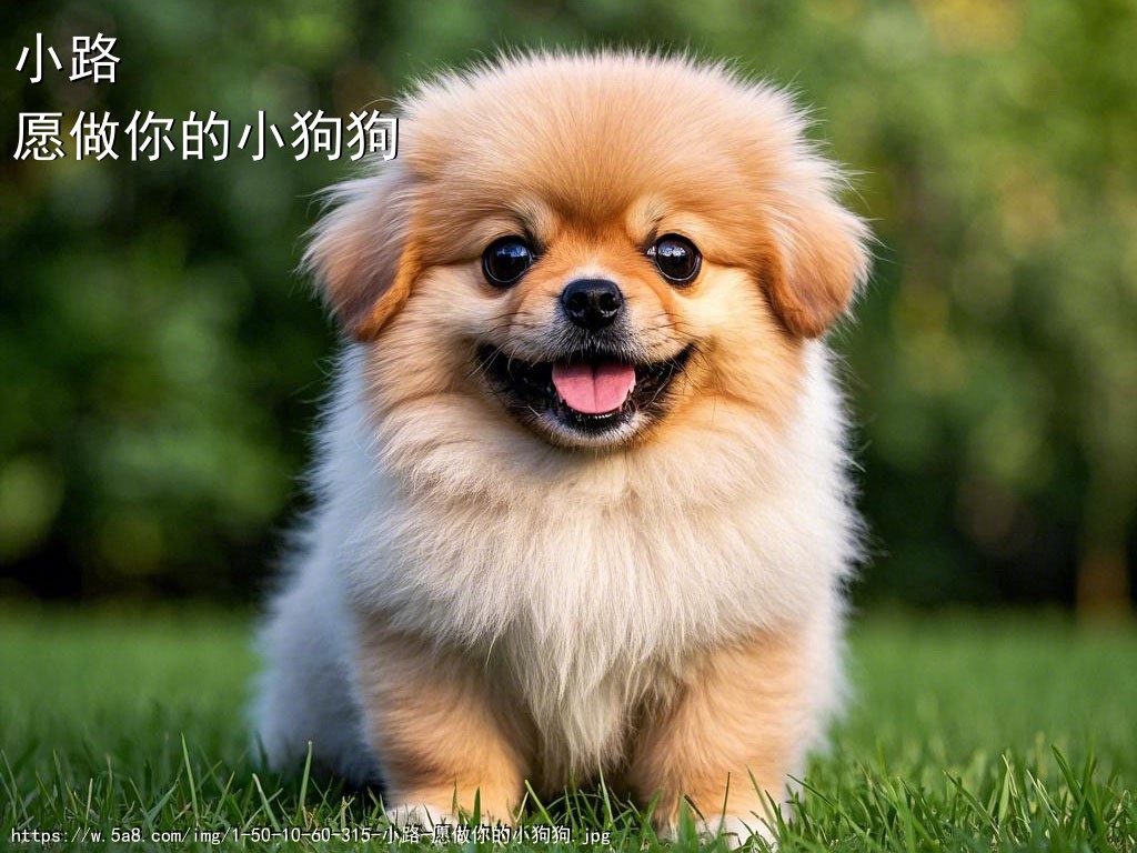小路愿做你的小狗狗搞笑图片