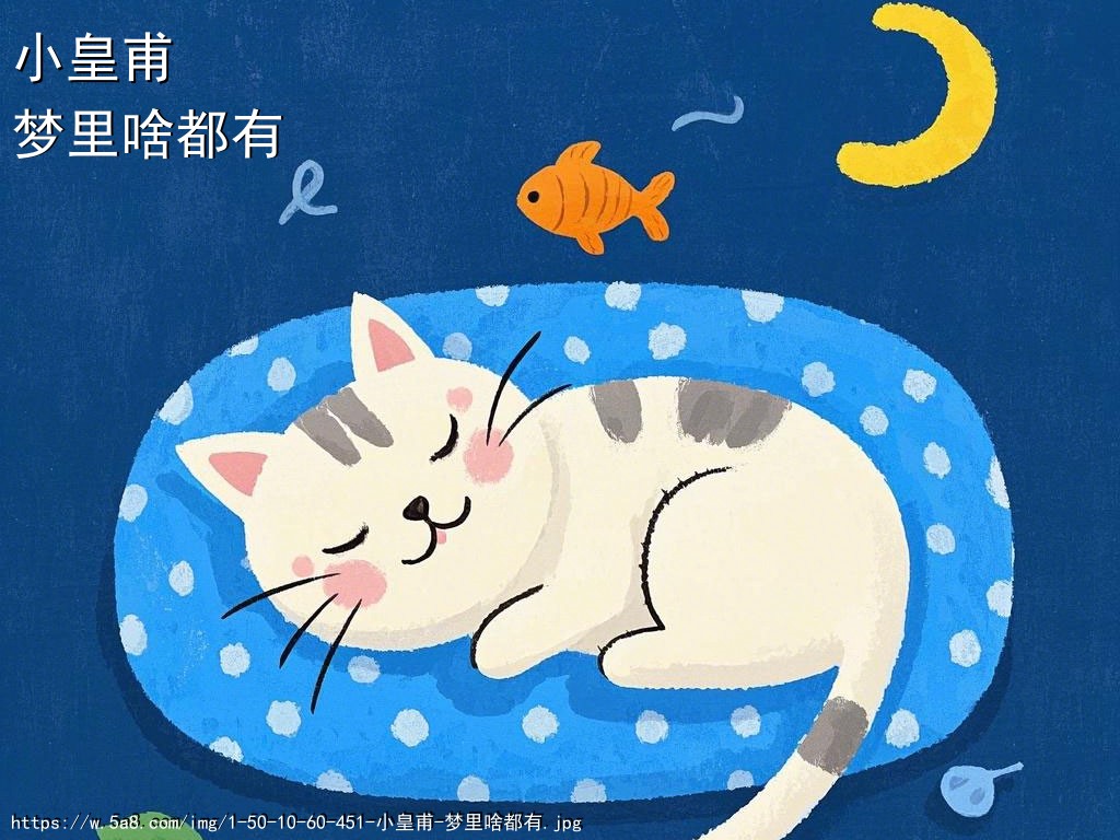 小皇甫梦里啥都有搞笑图片
