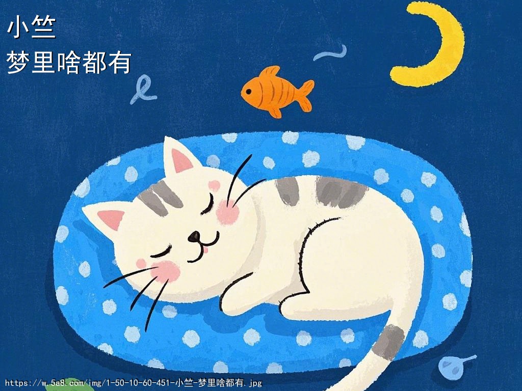 小竺梦里啥都有搞笑图片