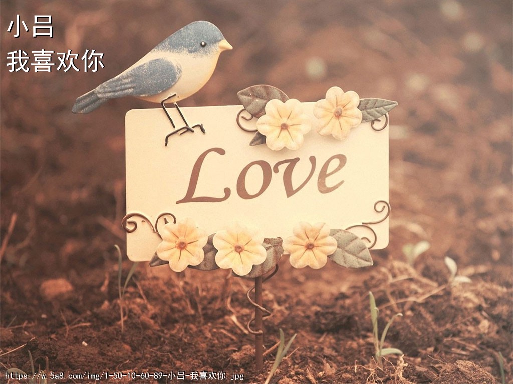 小吕我喜欢你搞笑图片