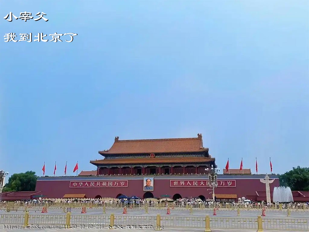 小宰父我到北京了搞笑图片