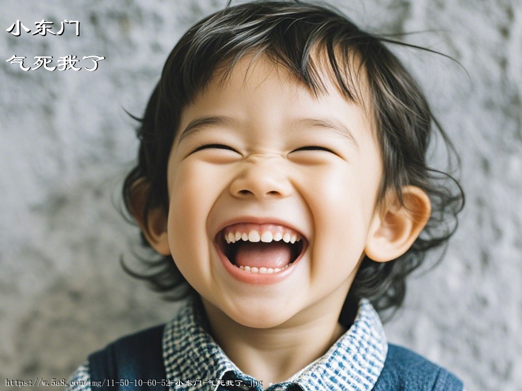 小东门气死我了搞笑图片