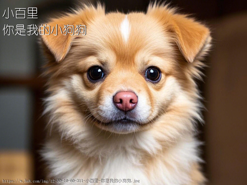 小百里你是我的小狗狗搞笑图片