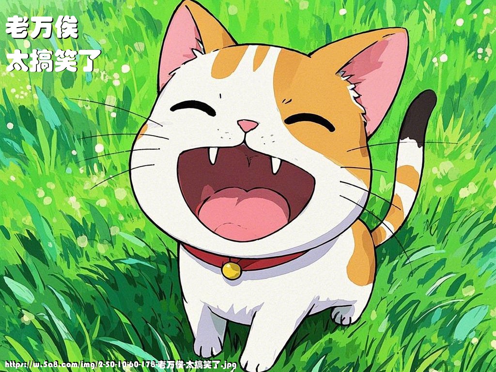 老万俟太搞笑了搞笑图片