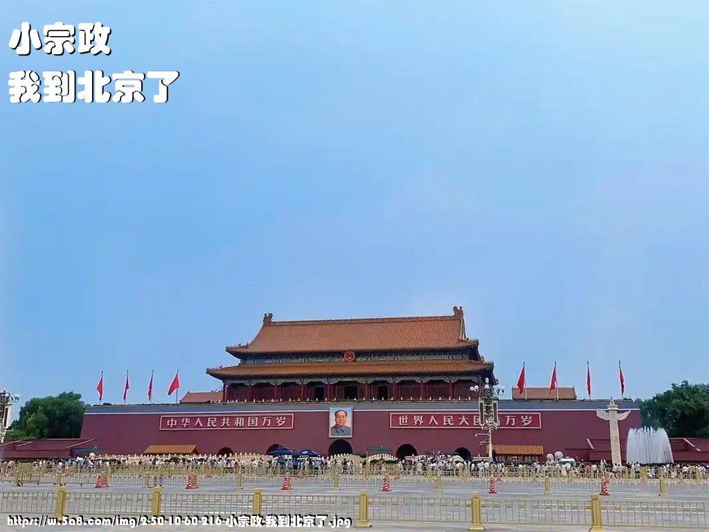 小宗政我到北京了搞笑图片