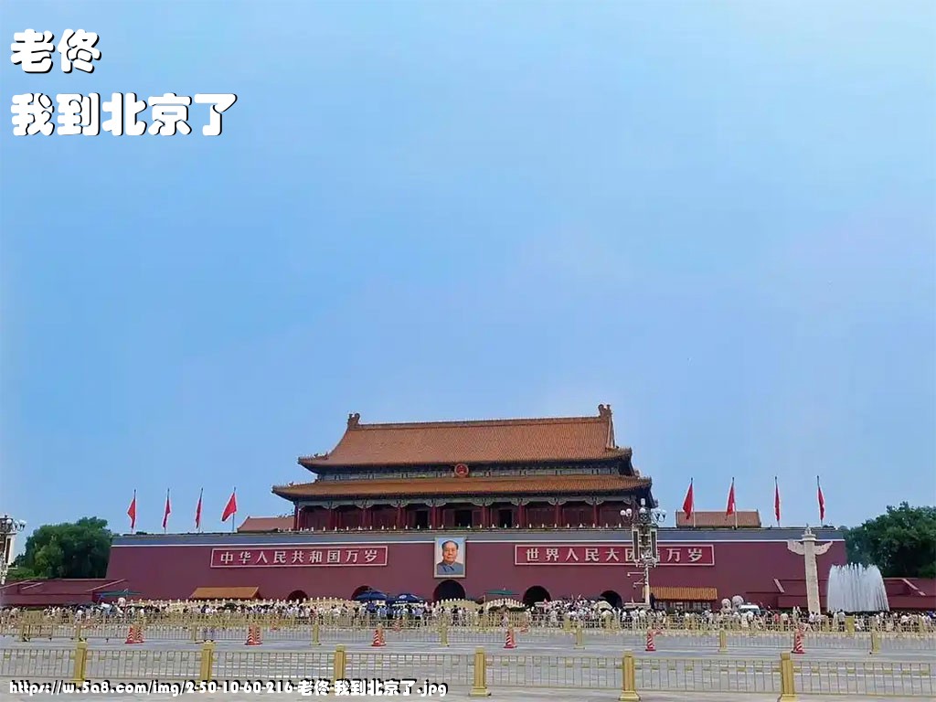 老佟我到北京了搞笑图片