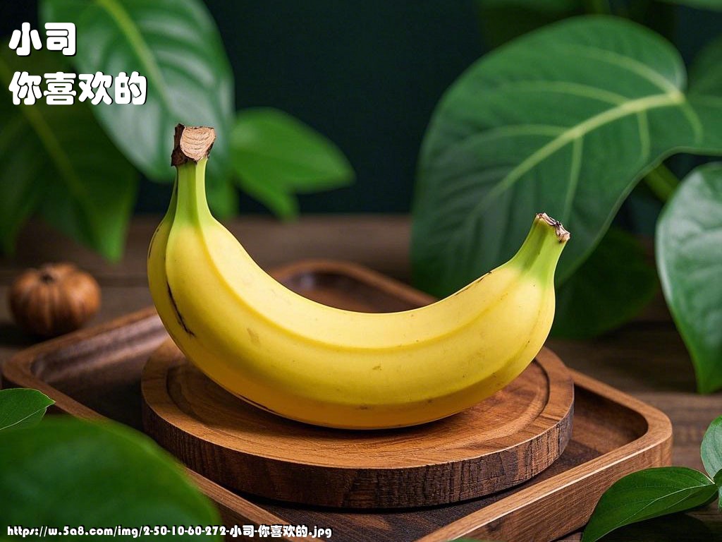小司你喜欢的搞笑图片