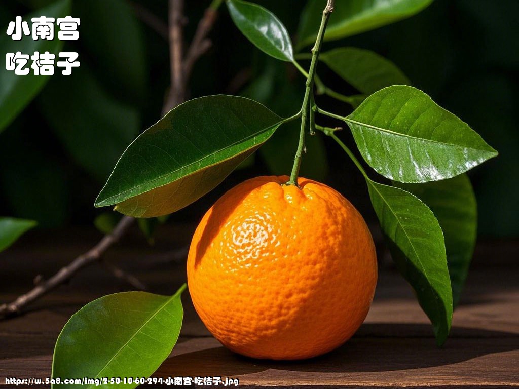 小南宫吃桔子搞笑图片