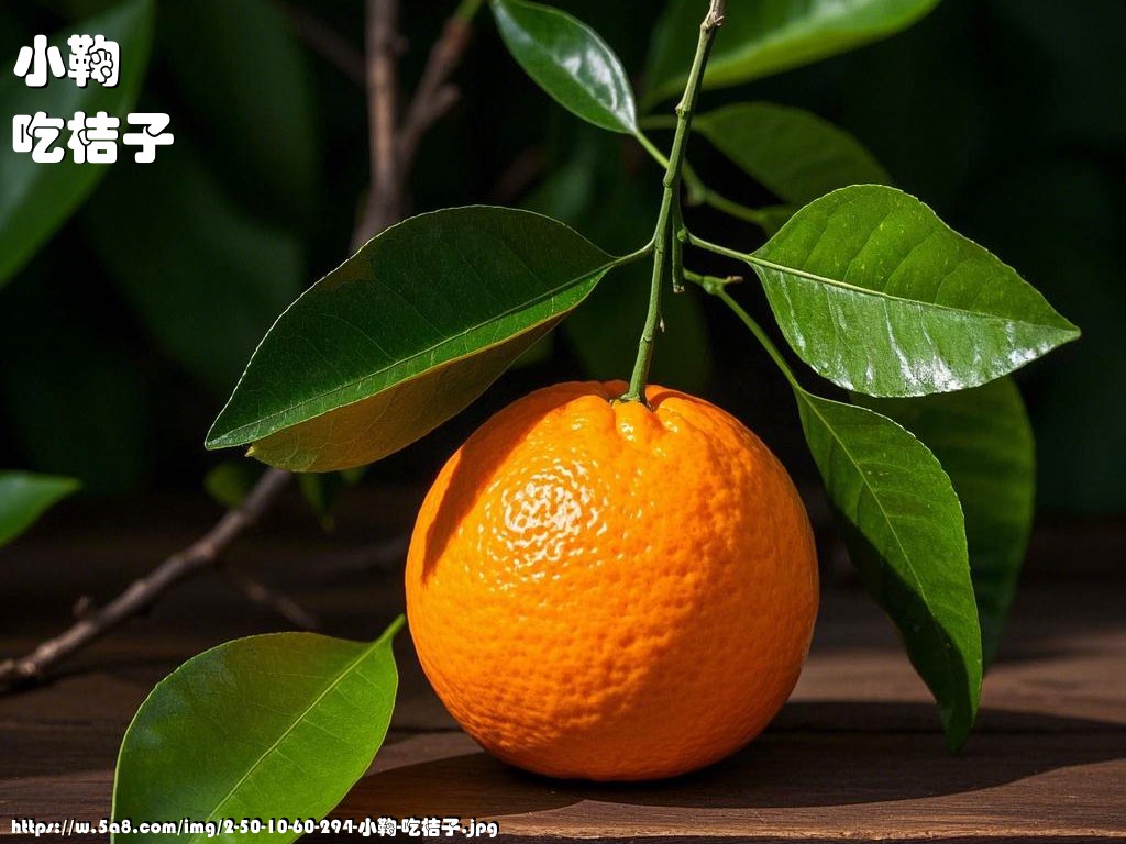 小鞠吃桔子搞笑图片